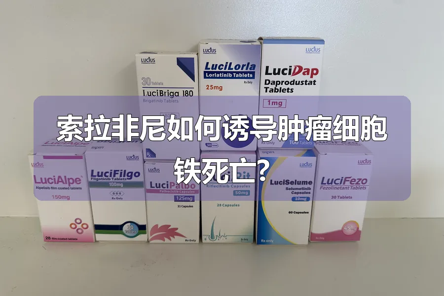 索拉非尼如何诱导肿瘤细胞铁死亡?