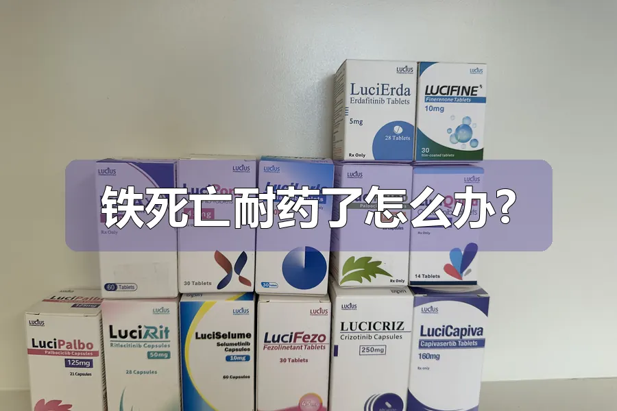 铁死亡耐药了怎么办?